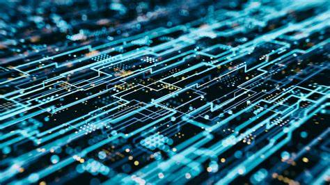 A Comprehensive Guide to Building a Data-Driven Culture